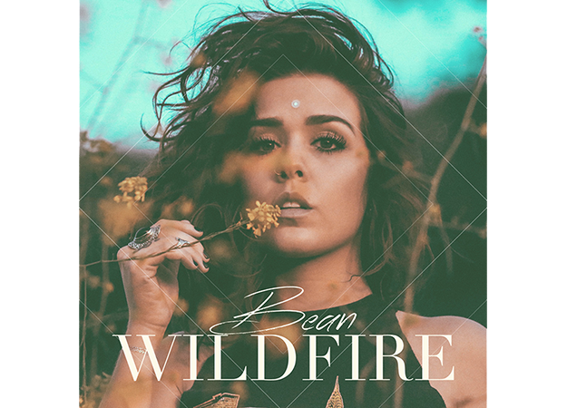 Wildfire Cover Art
